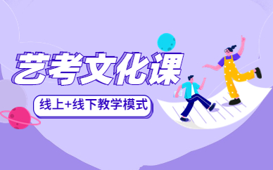 秦学艺考文化课