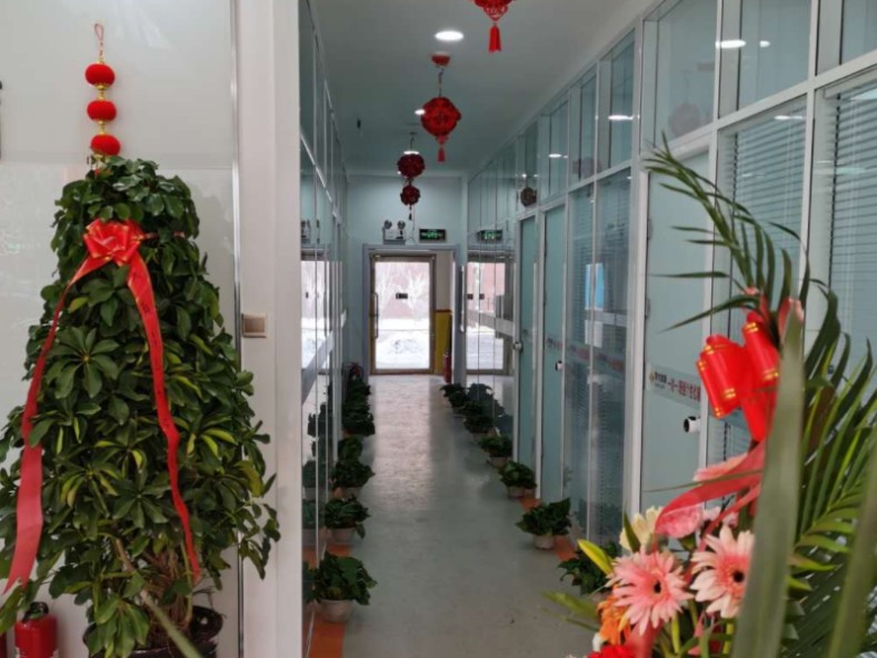 洛阳新高一衔接补课班2025靠谱排行出炉